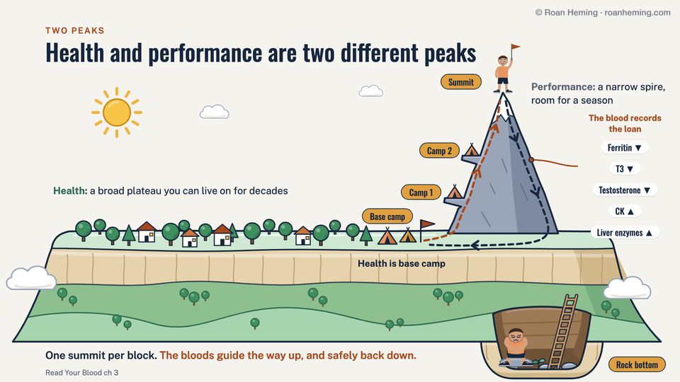 Cartoon slide from the talk, Health and performance are two different peaks: health is a broad plateau with houses and trees, and base camp; performance is a narrow spire with a lifter on the summit. On the way up the blood records the cost: ferritin, T3 and testosterone down, CK and liver enzymes up. Below the plateau, a man sits at rock bottom.